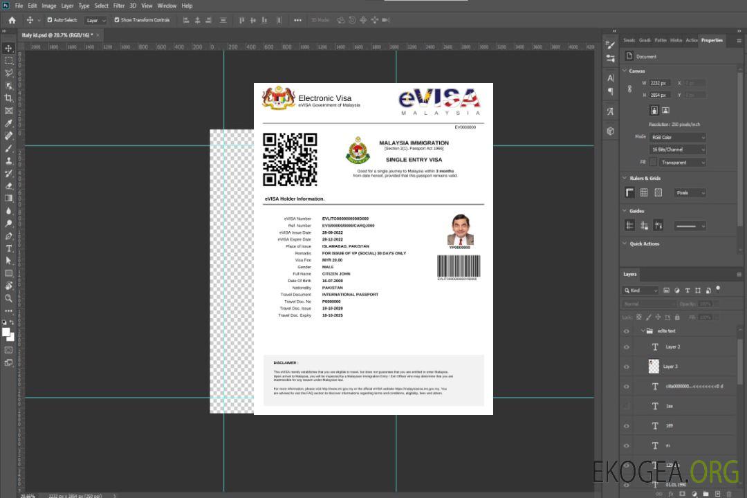 Visa électronique pour la Malaisie en modèle Word et PDF template